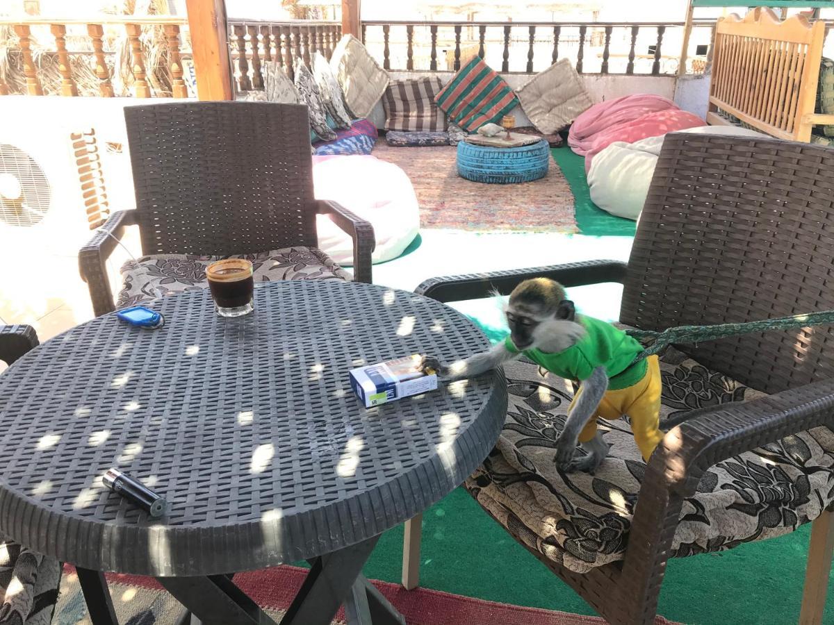 Gina Motel Dahab Dış mekan fotoğraf